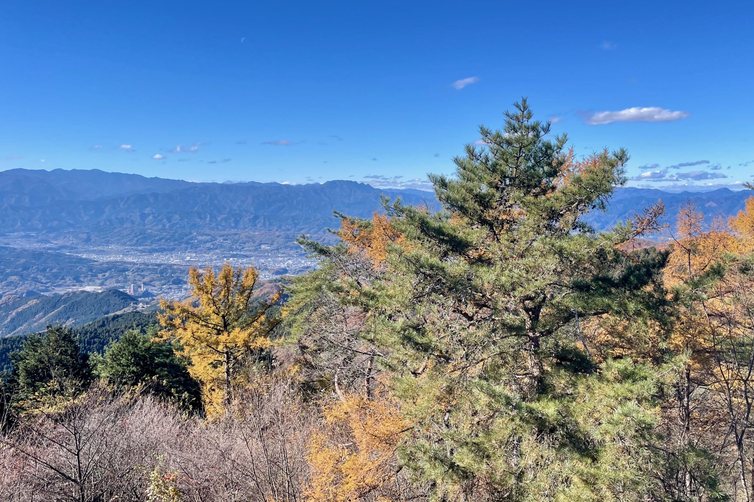 丸山・Maruyama